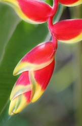 Similar image 7815899