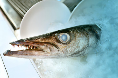 Similar image 7815903