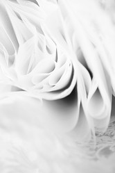 Similar image 7815969