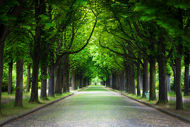 Similar image 7815981