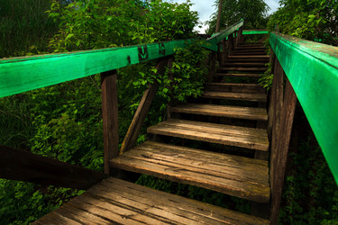 Similar image 7816085