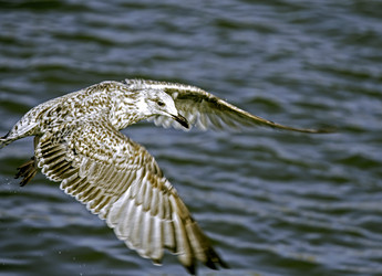 Similar image 7816100