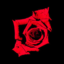 Similar image 7816105