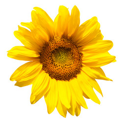 Similar image 7816116