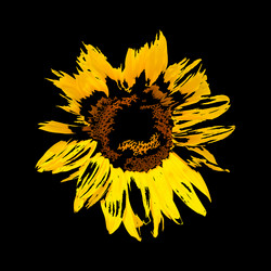 Similar image 7816118