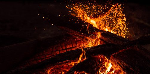 Similar image 7816129