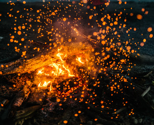 Similar image 7816131