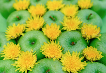 Similar image 7816143