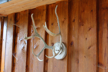 Similar image 7816148