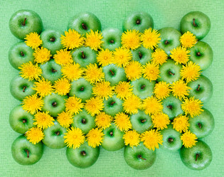 Similar image 7816154