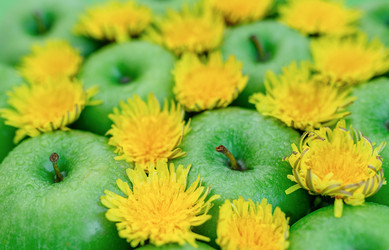 Similar image 7816155