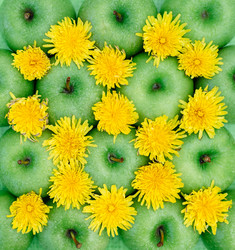 Similar image 7816157