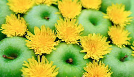 Similar image 7816161