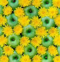 Similar image 7816162