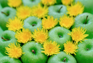 Similar image 7816163