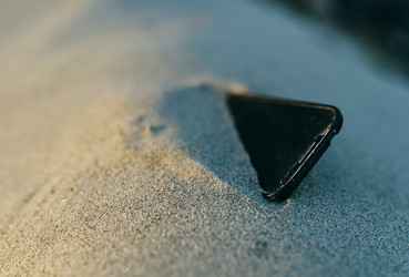 Similar image 7816181