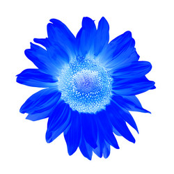 Similar image 7816403