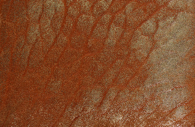 Similar image 7816444