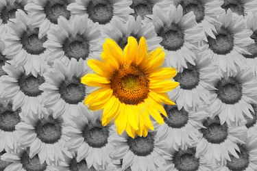 Similar image 7816448