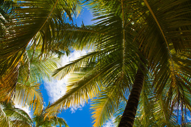 Similar image 7816485