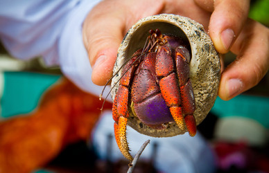 Similar image 7816486