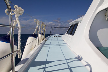 Similar image 7816488