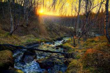 Similar image 7816500