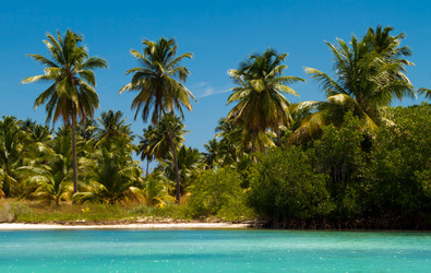 Similar image 7816509