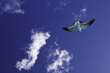 Similar image 7816510