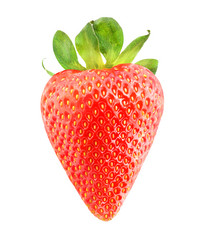 Similar image 7816513