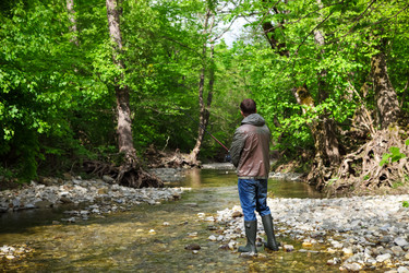 Similar image 7816531