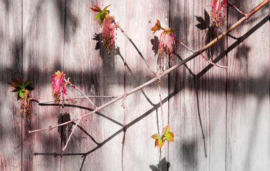 Similar image 7816546