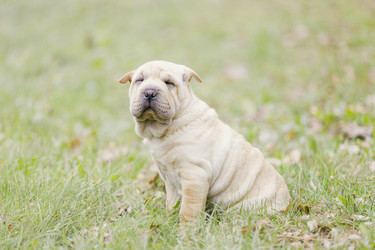 Similar image 7816566