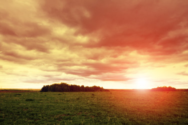 Similar image 7816571