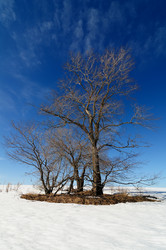 Similar image 7816577