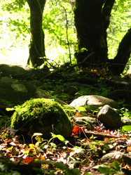 Similar image 7816615