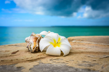 Similar image 7816718