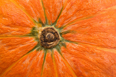 Similar image 7816851