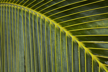 Similar image 7816859