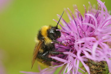 Similar image 7816861