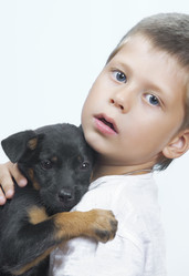 Similar image 7816870