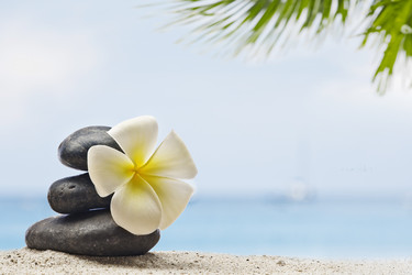 Similar image 7816886