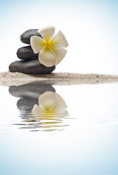 Similar image 7816919