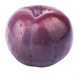 Similar image 7817011