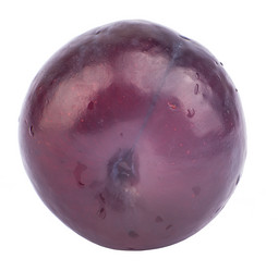 Similar image 7817012