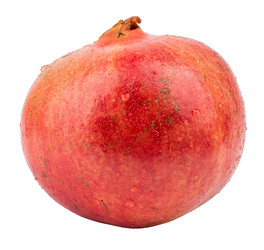 Similar image 7817013