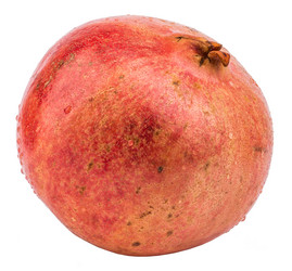 Similar image 7817014