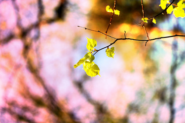 Similar image 7817173