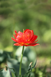 Similar image 7817175