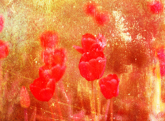 Similar image 7817178